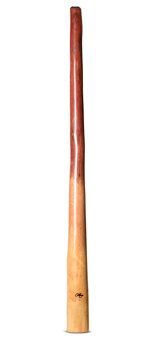Tristan O'Meara Didgeridoo (TM338)